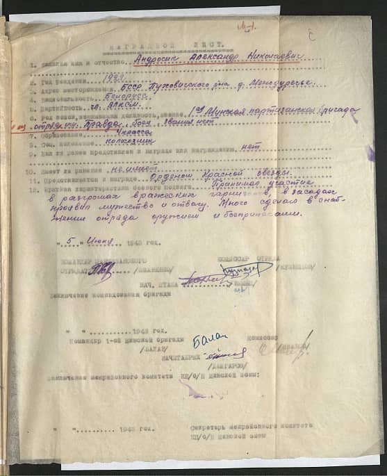 Андросик Александр Николаевич Документ 1