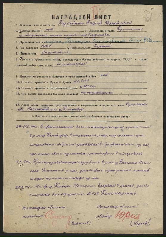 Будейкин Андрей Михайлович Документ 1