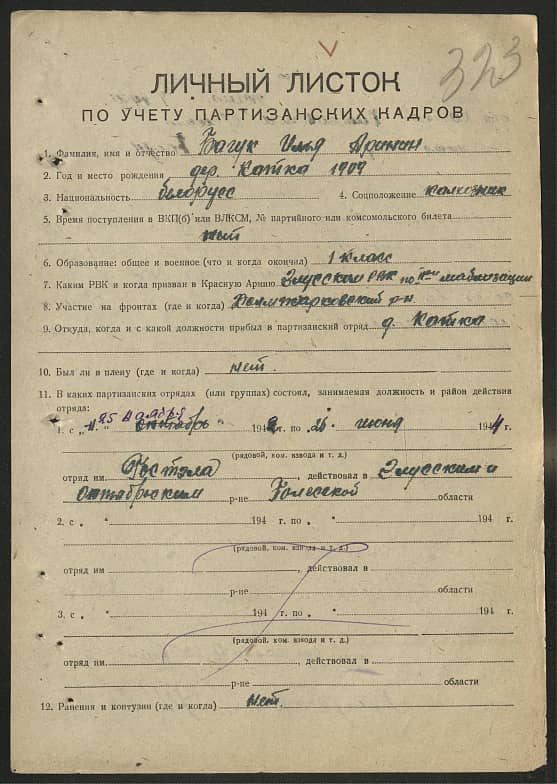 Багук Илья Аринин Документ 1