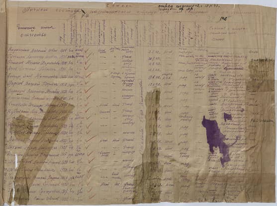 Фаявецкая  Тамара Николаевна  Документ 1